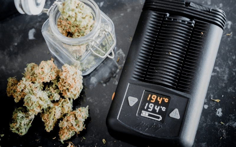 Dry herbs cbd oil waxes and concentrates